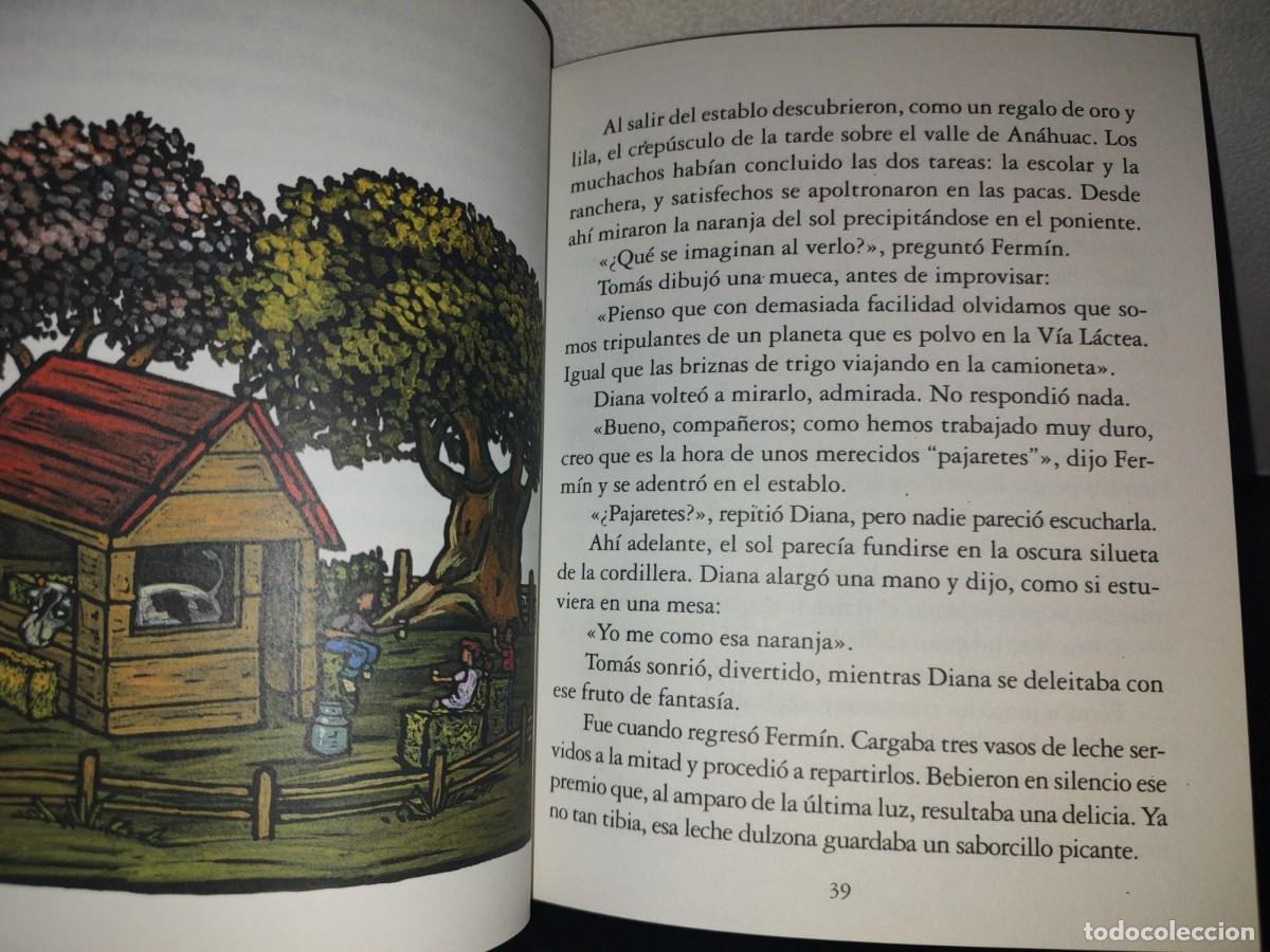 Libros de segunda mano: 64- EL HOMBRE DEL IZTAC - DAVID MART&Iacute;N DEL CAMPO - Foto 7