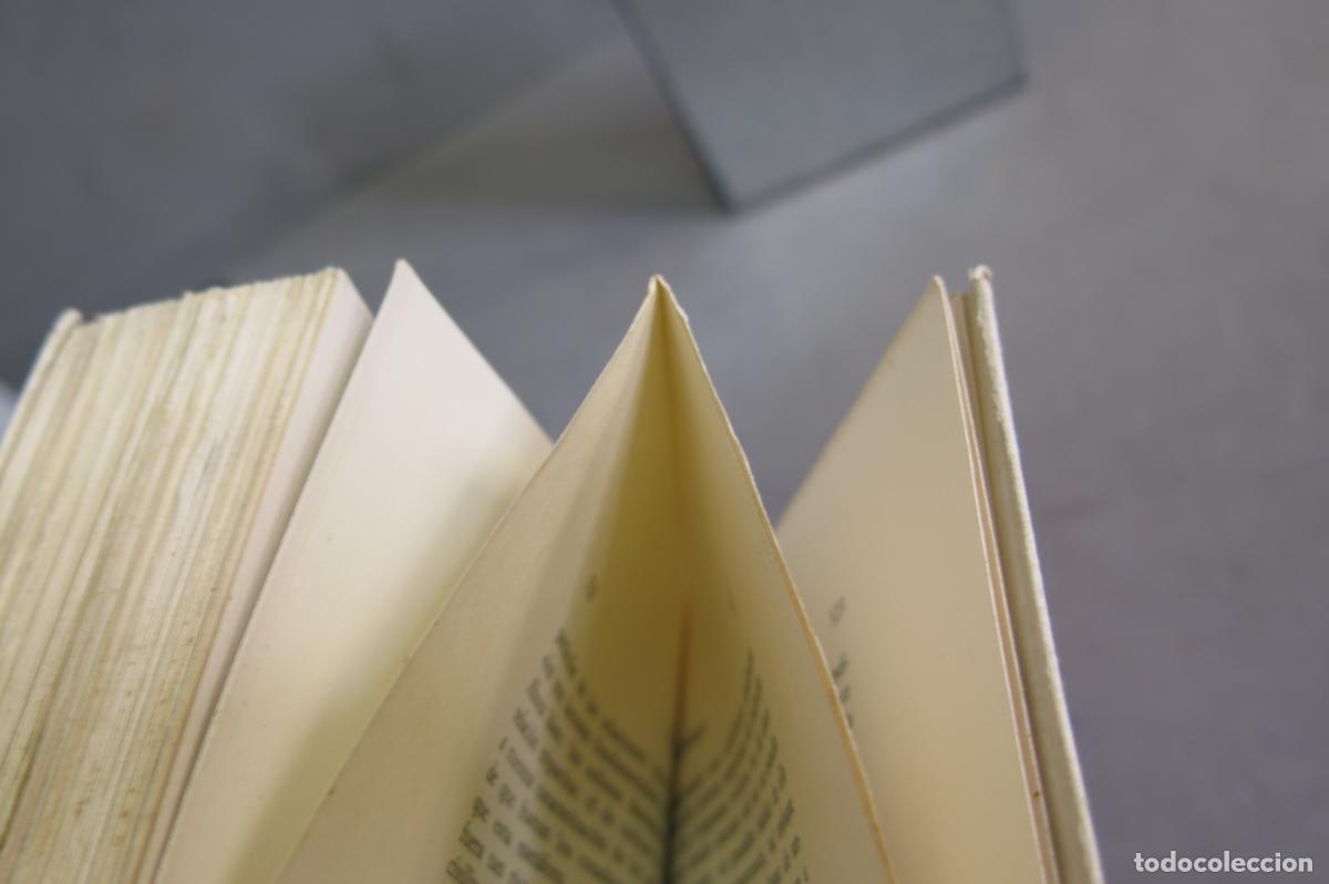 Libros de segunda mano: La vecindad humana. Manuel Granell - Foto 2