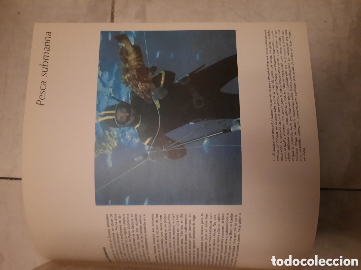 Libros de segunda mano: Albatros enciclopedia del mar - Foto 3