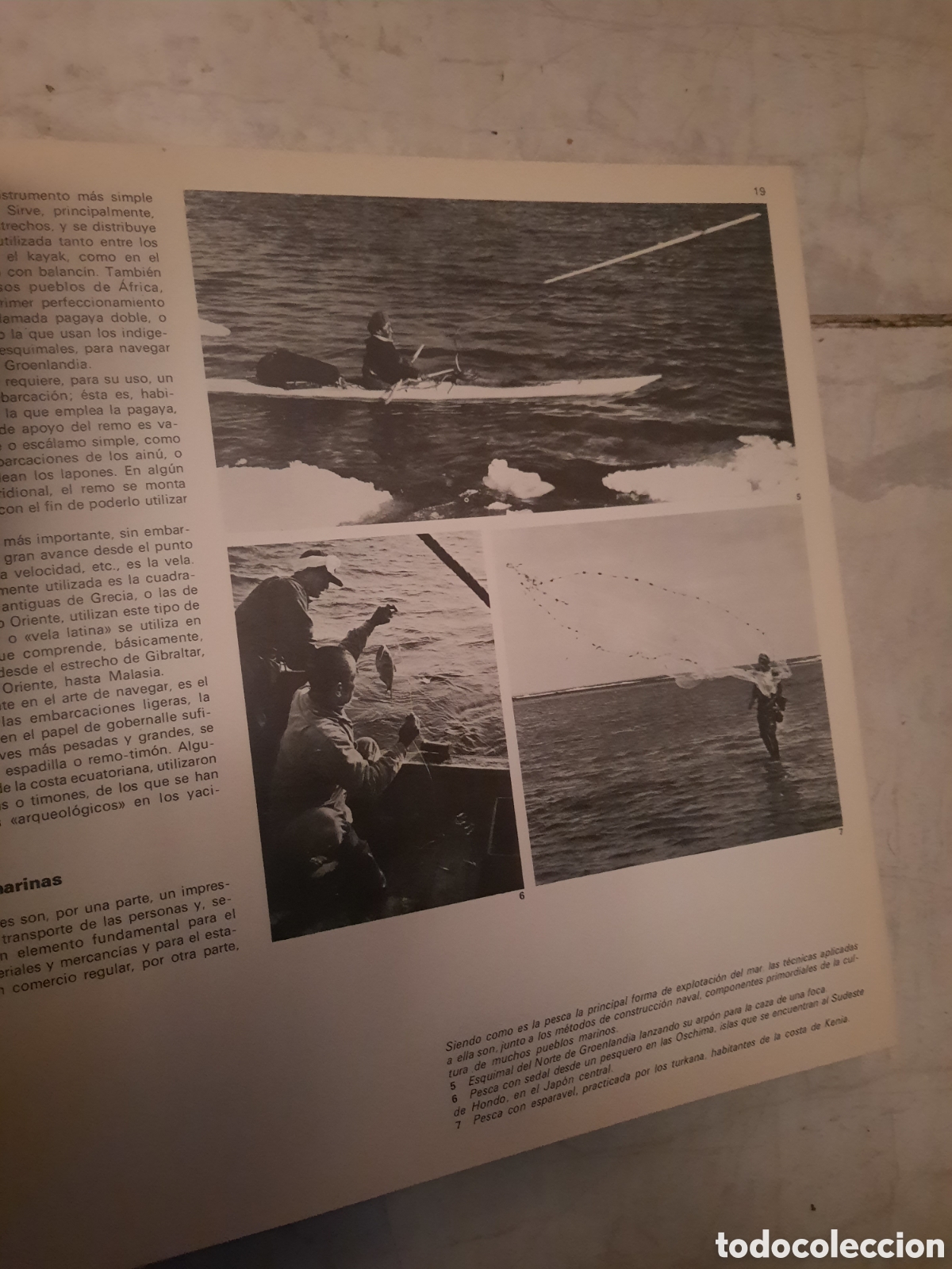 Libros de segunda mano: Albatros enciclopedia del mar - Foto 5