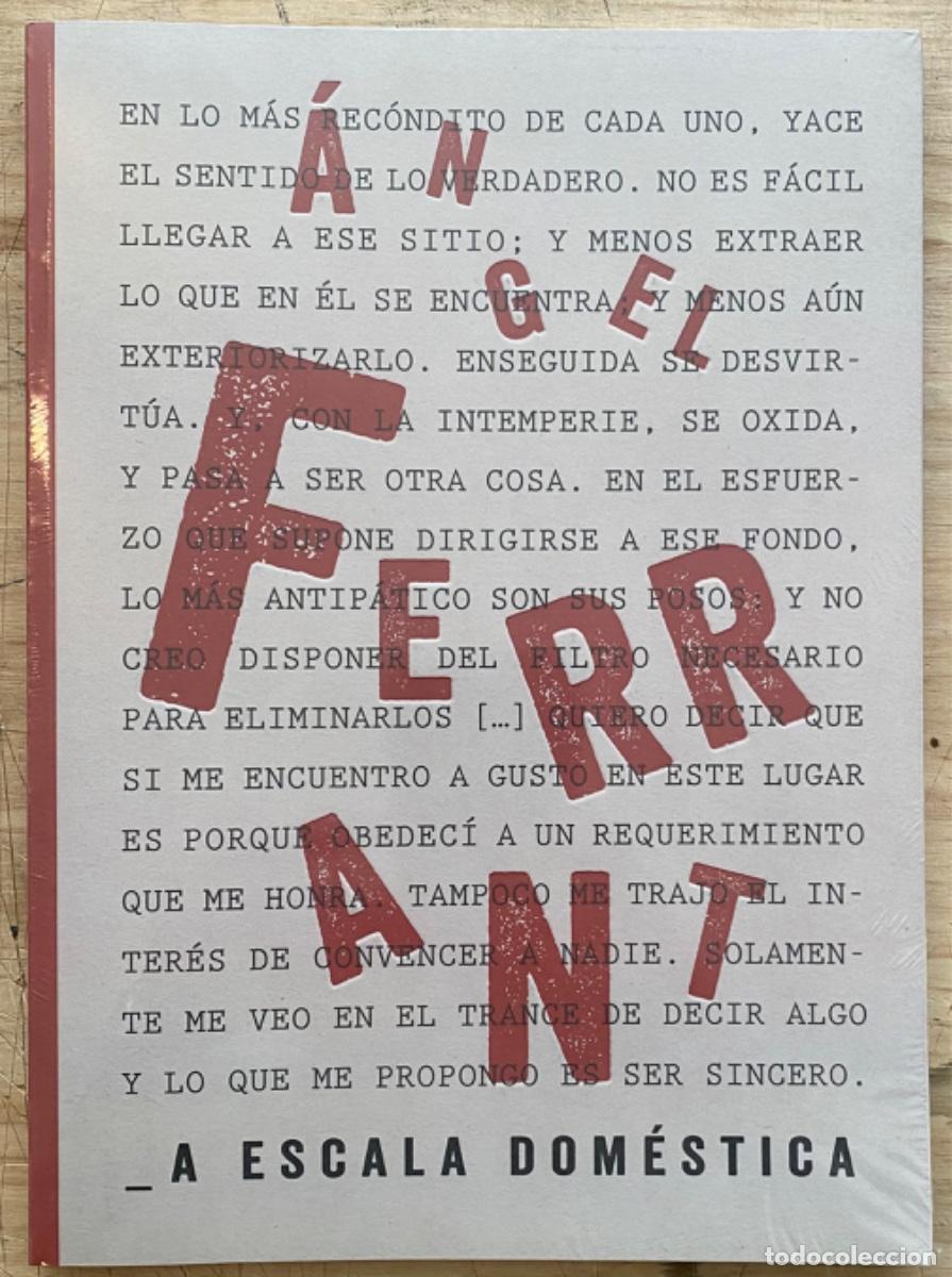 Libros de segunda mano: Angel Ferrant. A Escala Dom&eacute;stica - Foto 1