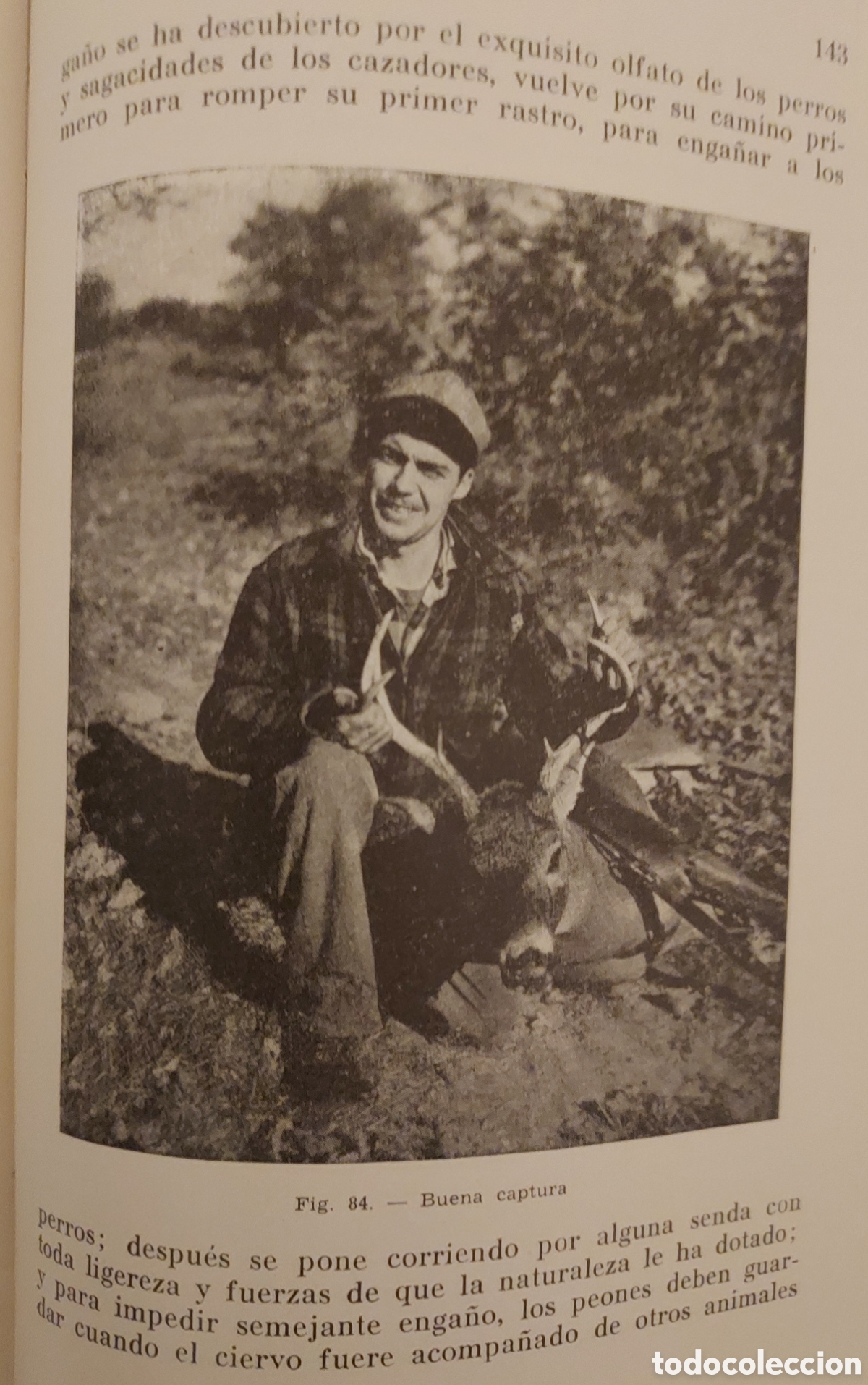 Libros de segunda mano: Libro CAZA MAYOR Ed. SINTES - Foto 4