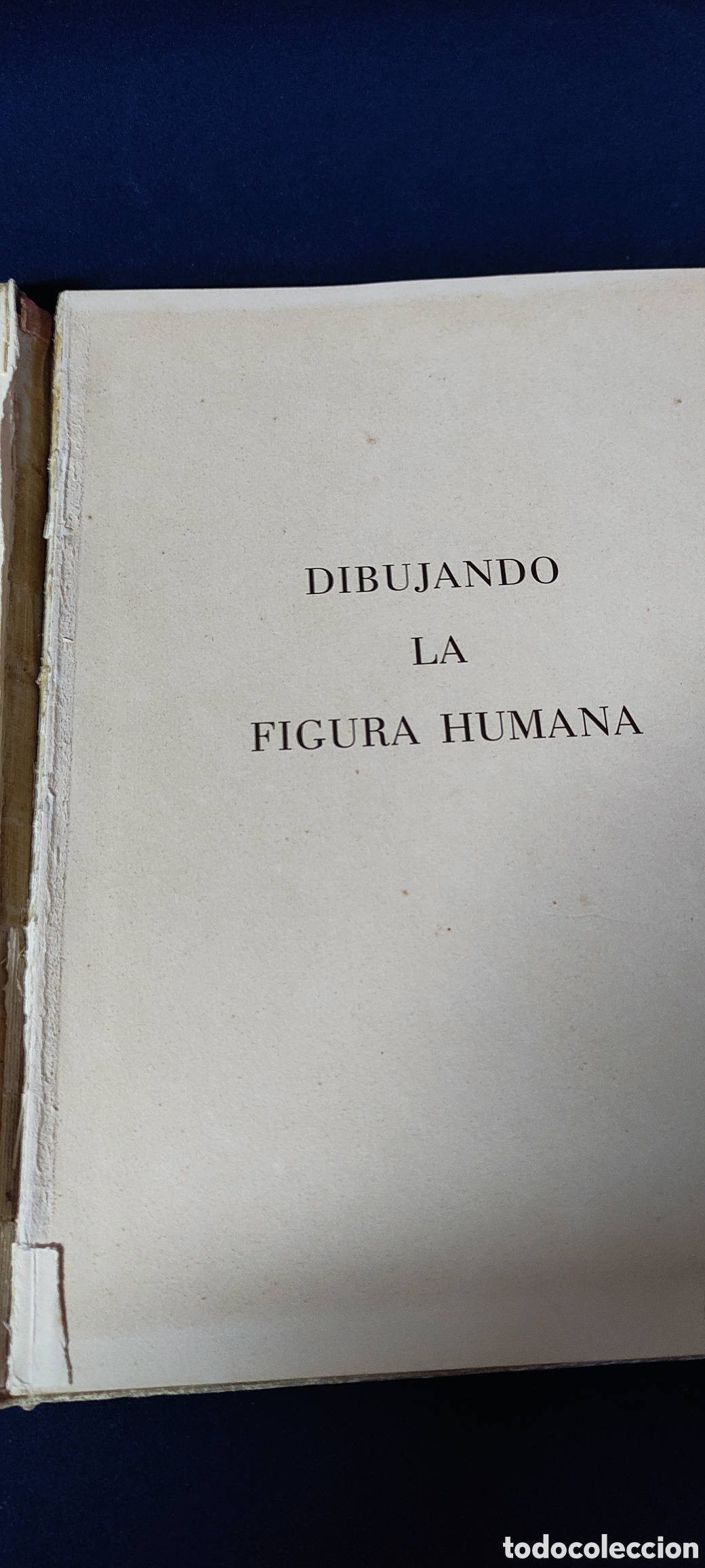 Libros de segunda mano: DIBUJANDO LA FIGURA HUMANA - Foto 2