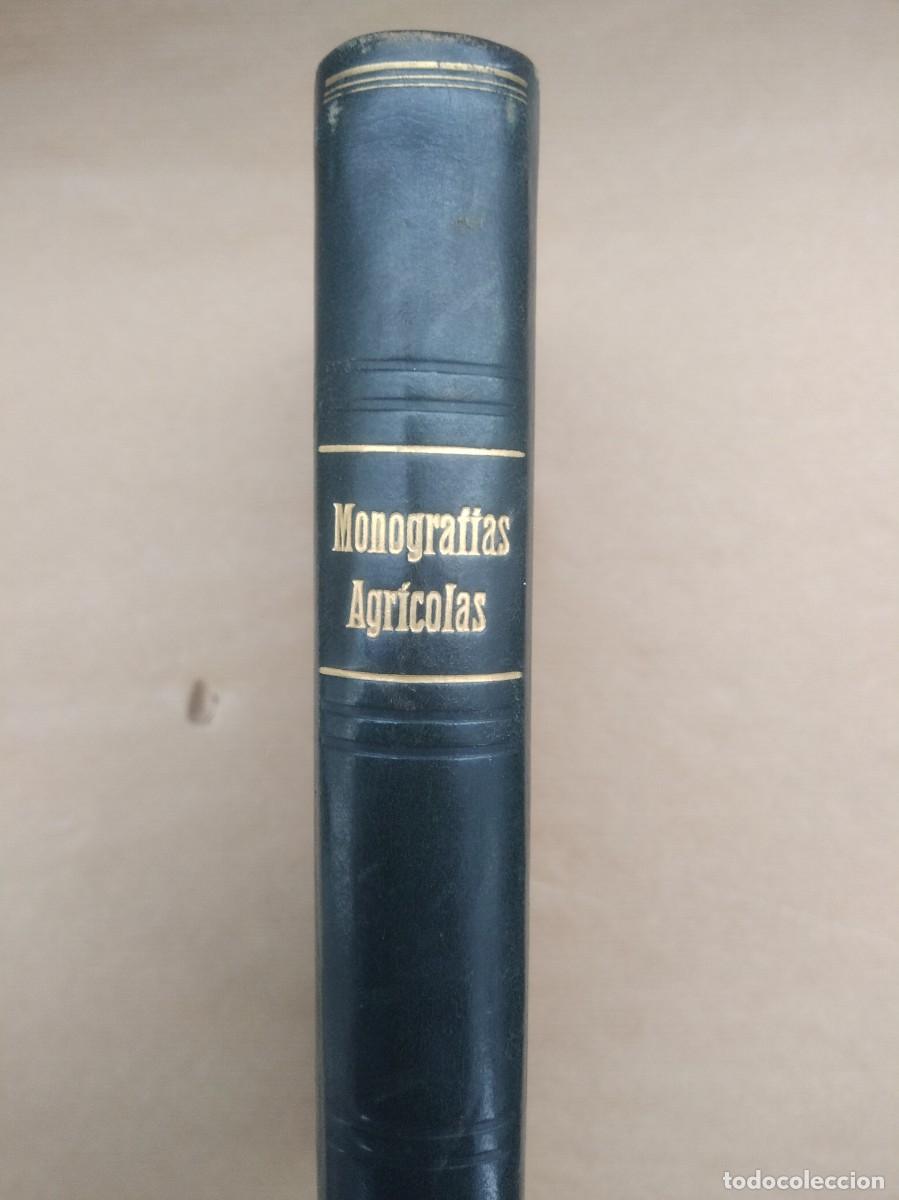Libros de segunda mano: Libro Monografias Agricolas a&ntilde;o 1951 - Foto 3