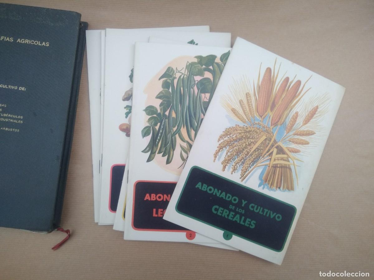 Libros de segunda mano: Libro Monografias Agricolas a&ntilde;o 1951 - Foto 6