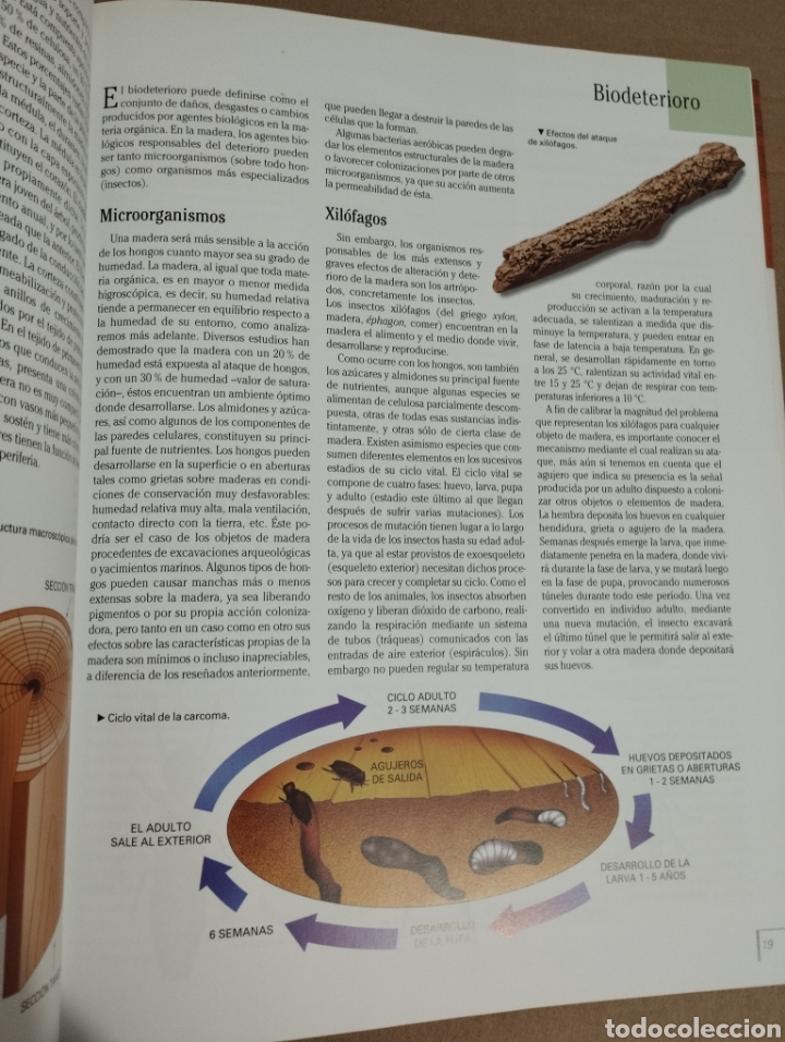 Libros de segunda mano: RESTAURACI&Oacute;N DE MADERA (PARRAM&Oacute;N) COLECCI&Oacute;N ARTES Y OFICIOS - Foto 21