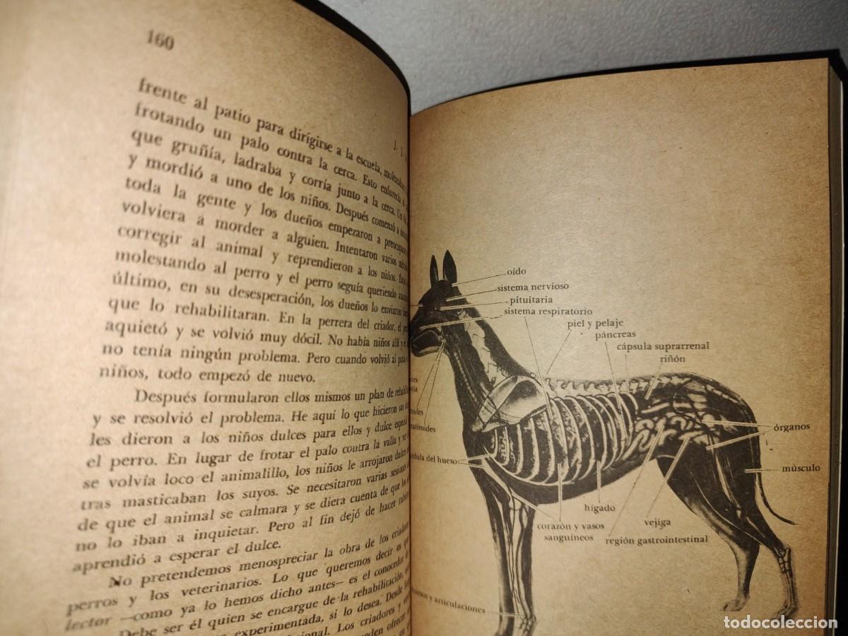 Libros de segunda mano: 66- LIBRO COMPLETO DE LA EDUCACI&Oacute;N Y CUIDADO DEL PERRO - J. J. MCCOY - Foto 8