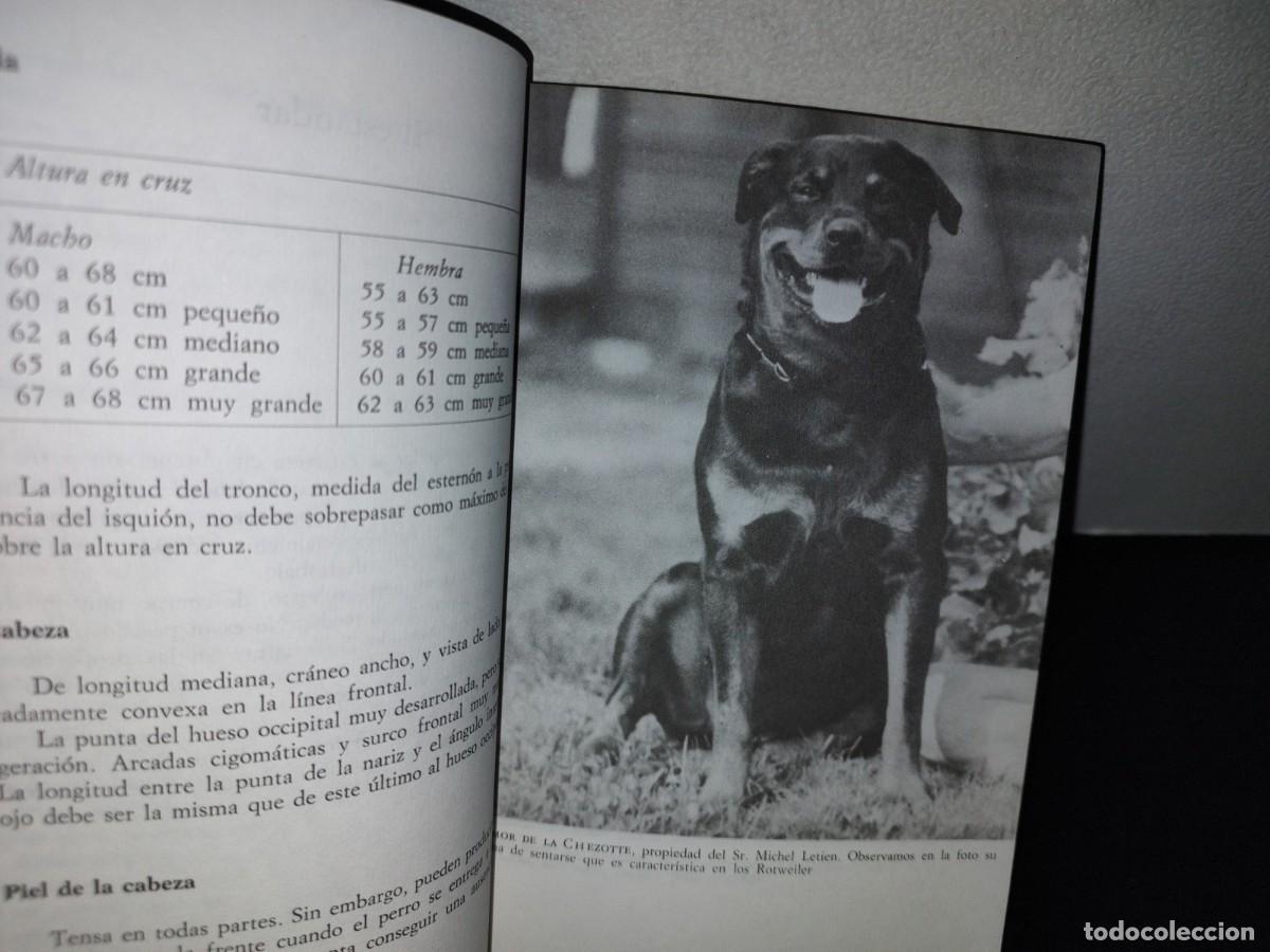 Libros de segunda mano: 66- EL ROTTWEILER - PIERRE BOURGEOIS - Foto 9