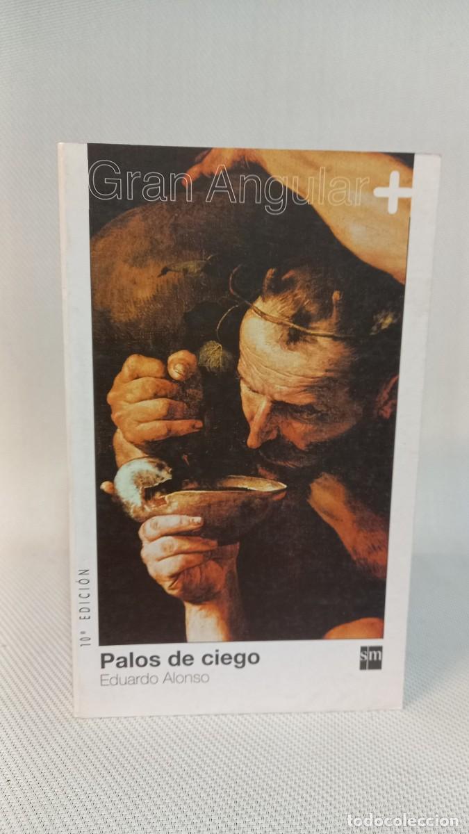 Libros de segunda mano: Eduardo Alonso. Palos de ciego. Ediciones SM. 2005 - Foto 1