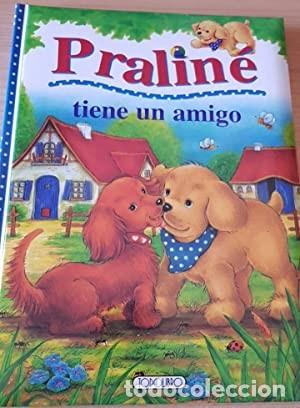 Libros de segunda mano: Praline tiene un amigo. Jean Mouthier - Foto 1