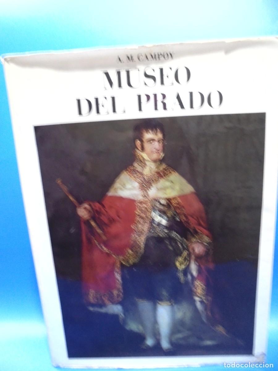 Libros de segunda mano: MUSEO DEL PRADO. A. M. CAMPOY. EDICIONES GINER. 1970. PAGS : 399. - Foto 1