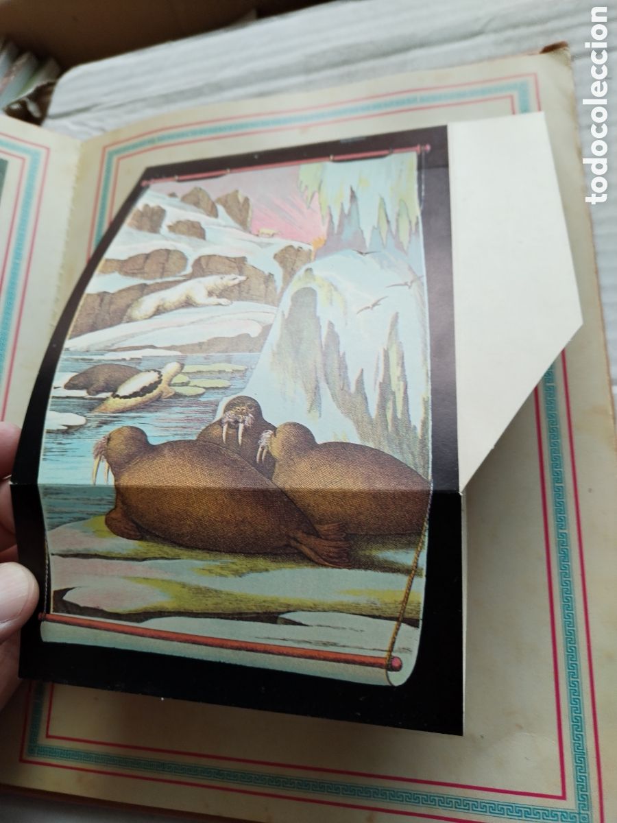 Libros de segunda mano: EL GRAN ZOO/MONTENA POP-UP - Foto 4