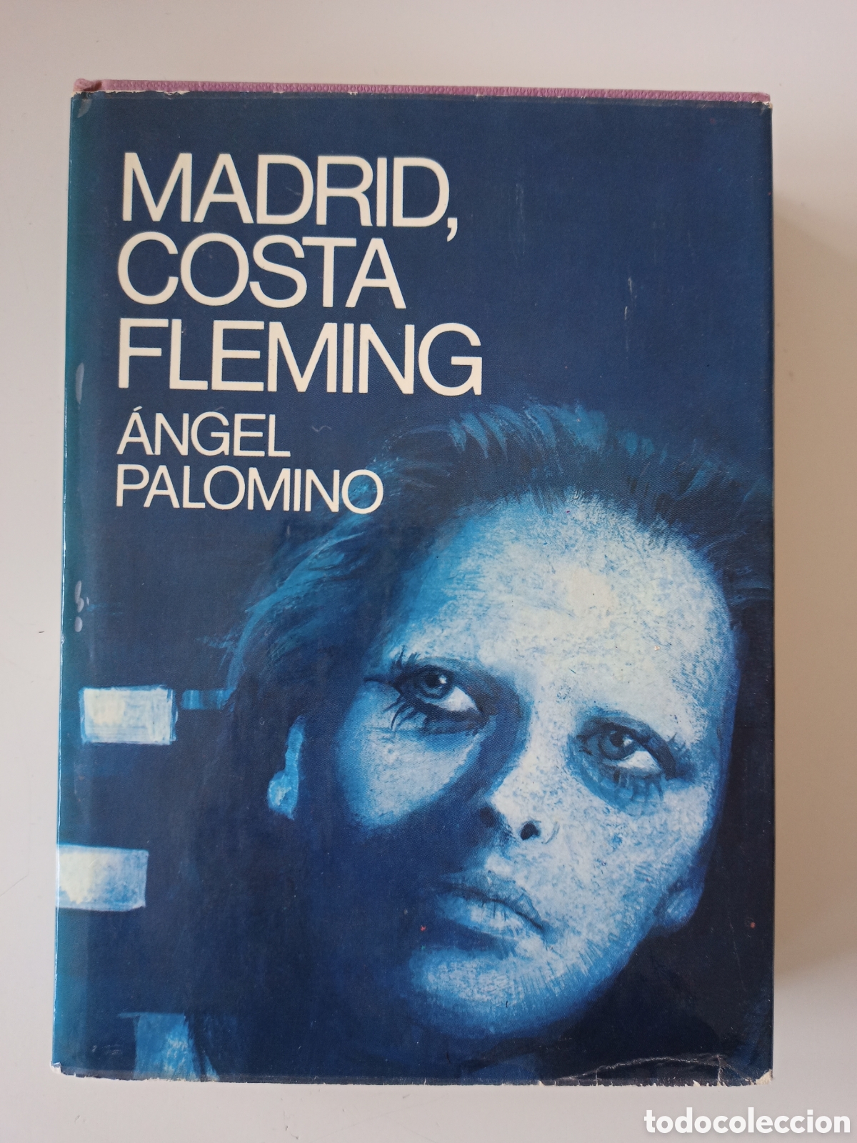 Libros de segunda mano: &Aacute;ngel Palomino - Madrid, Costa Fleming - Foto 1