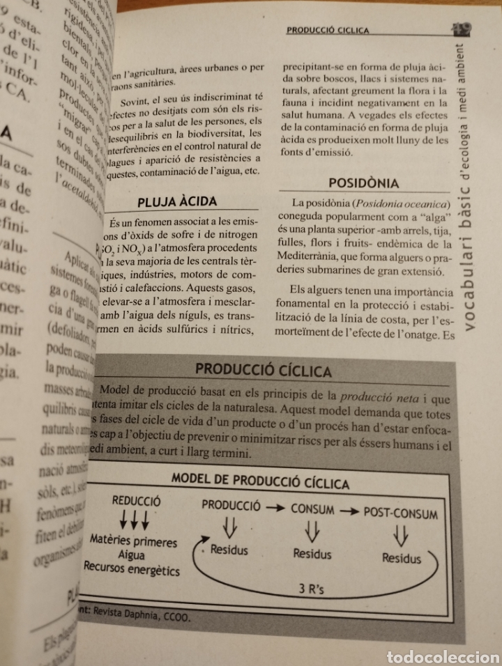 Libros de segunda mano: VOCABULARI B&Agrave;SIC DECOLOGIA I MEDI AMBIENT (GOVERN DE LES ILLES BALEARS) - Foto 3