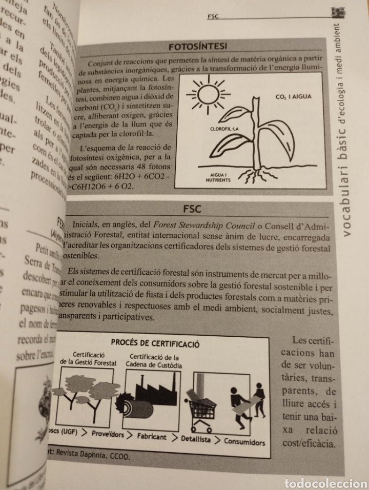 Libros de segunda mano: VOCABULARI B&Agrave;SIC DECOLOGIA I MEDI AMBIENT (GOVERN DE LES ILLES BALEARS) - Foto 4