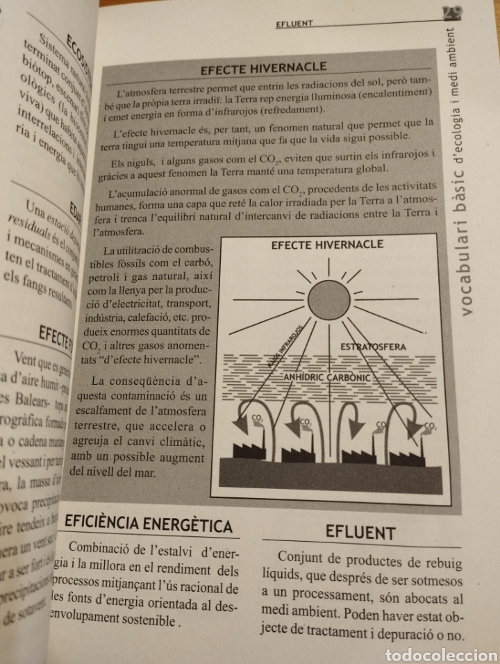 Libros de segunda mano: VOCABULARI B&Agrave;SIC DECOLOGIA I MEDI AMBIENT (GOVERN DE LES ILLES BALEARS) - Foto 5