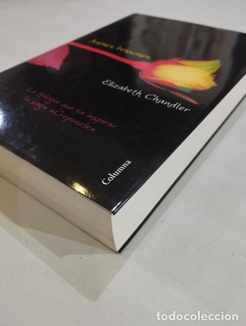 Libros de segunda mano: Elizabeth Chandler - &Agrave;nimes bessones - Foto 2