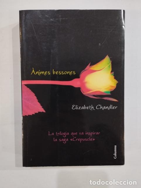 Libros de segunda mano: Elizabeth Chandler - &Agrave;nimes bessones - Foto 1