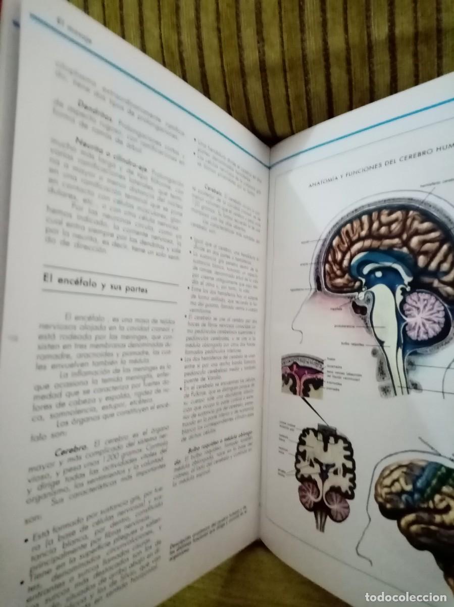 Libros de segunda mano: CURSO PROFESIONAL DE BELLEZA - Foto 10