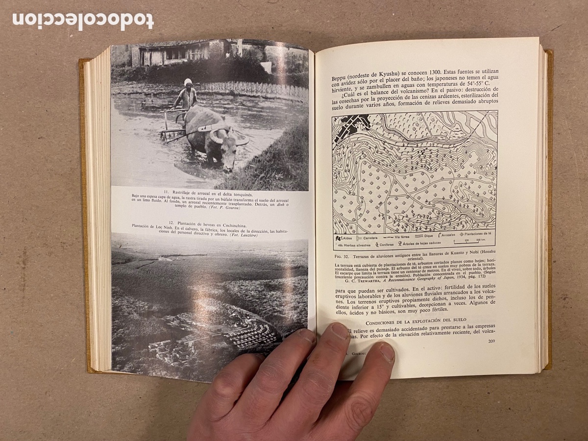 Libros de segunda mano: AS&Iacute;A. PIERRE GOUROU. EDITORIAL LABOR 1966. - Foto 4