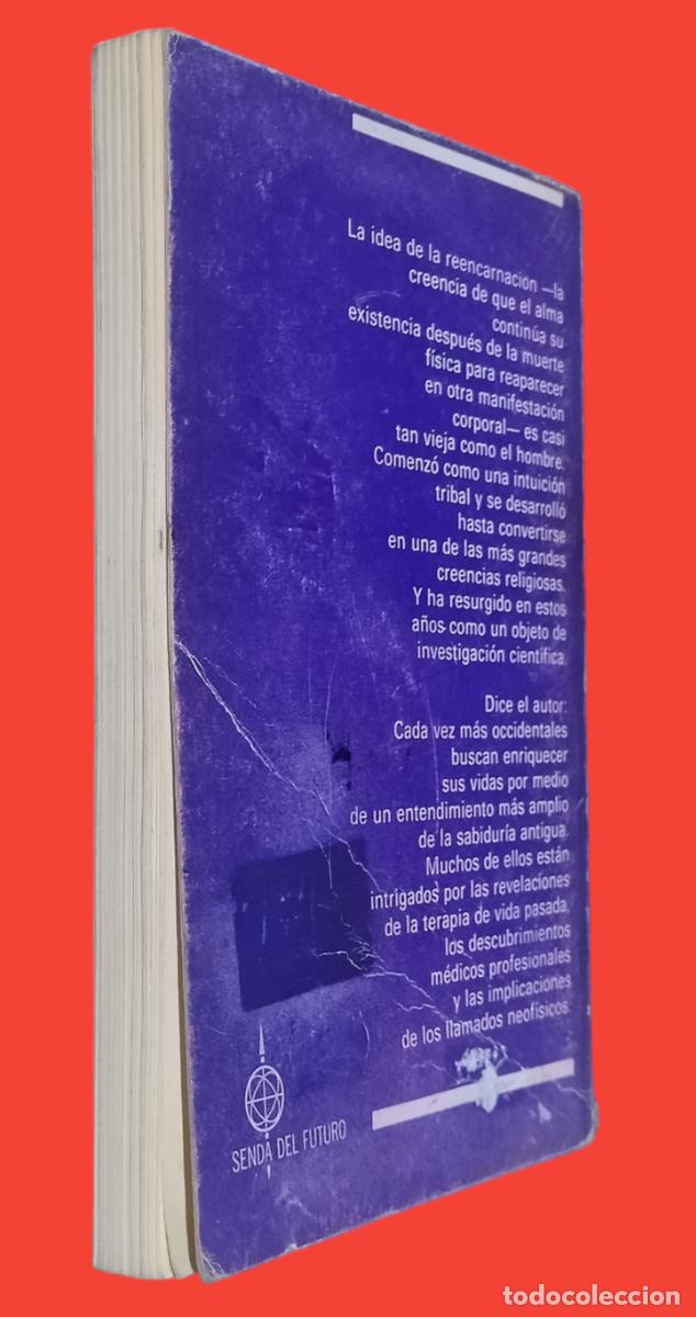 Libros de segunda mano: EXPERIENCIAS Y TESTIMONIOS SOBRE REENCARNACI&Oacute;N. 1&ordf; EDICI&Oacute;N 1984 EDICIONES ALONSO. - Foto 3