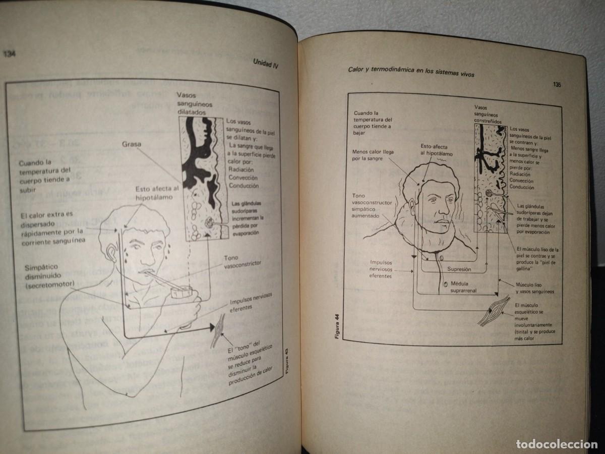 Libros de segunda mano: 67- ASPECTOS DE BIOF&Iacute;SICA - ABEL CUEVAS SOL&Oacute;RZANO - Foto 8