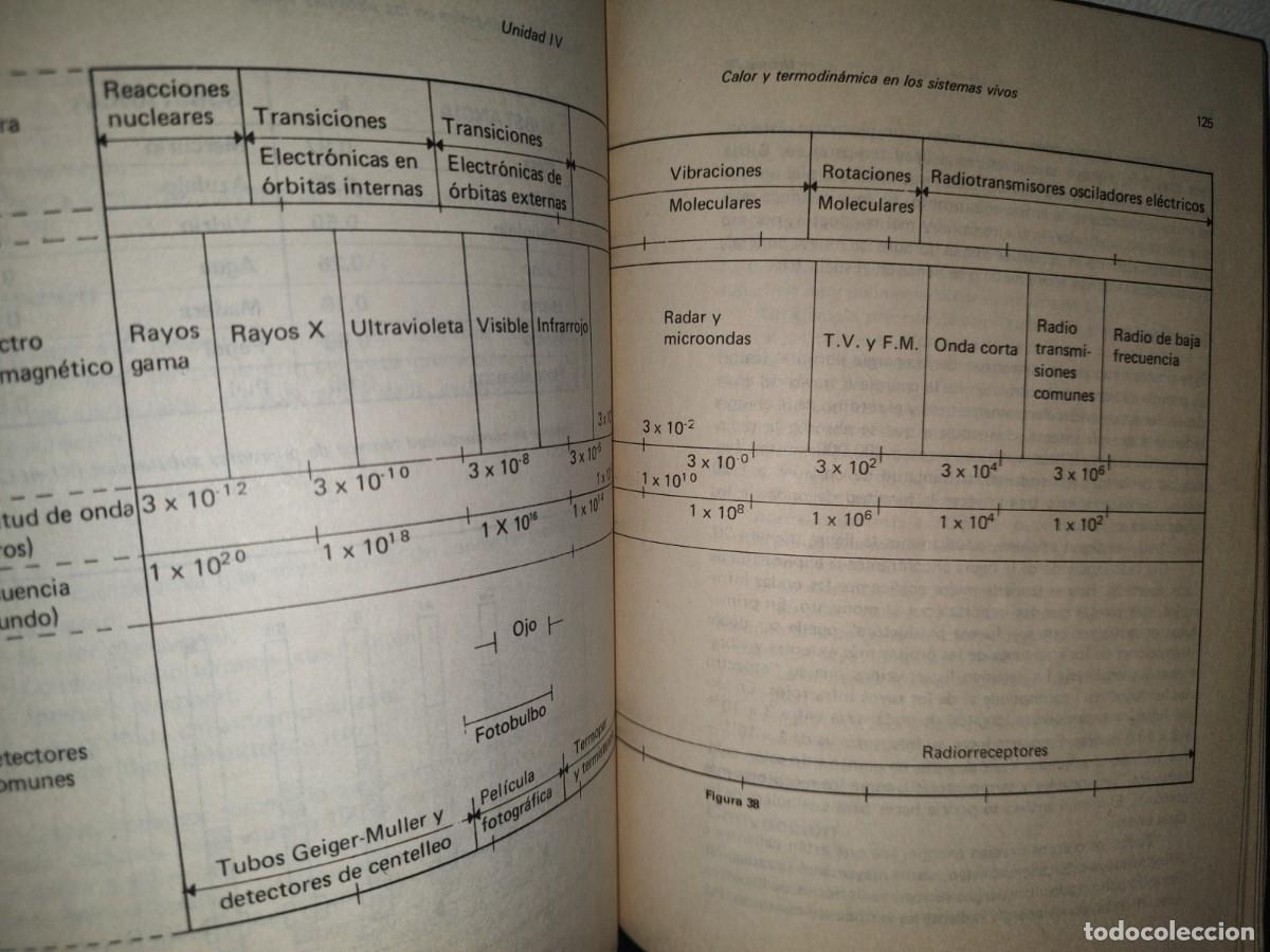 Libros de segunda mano: 67- ASPECTOS DE BIOF&Iacute;SICA - ABEL CUEVAS SOL&Oacute;RZANO - Foto 9