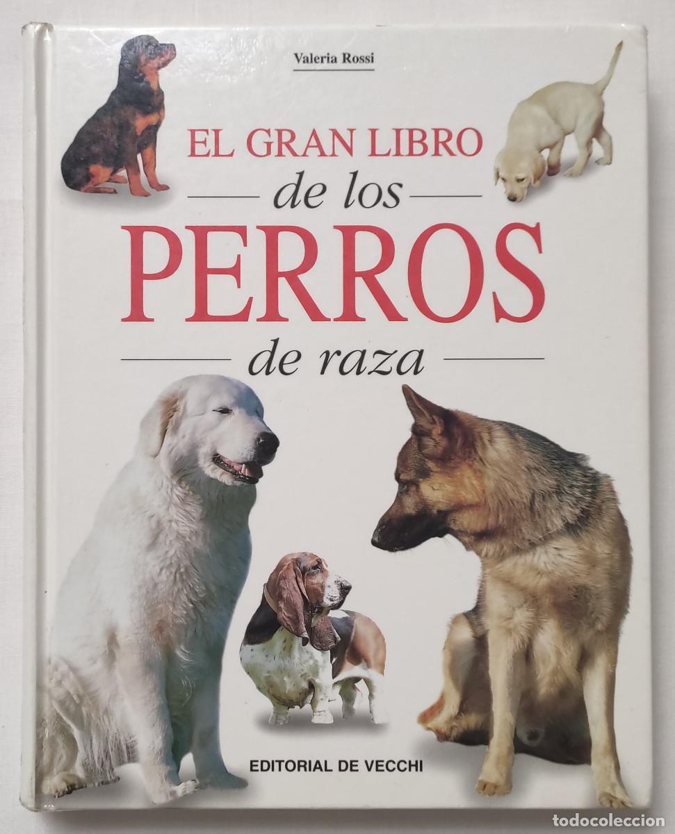 Libros de segunda mano: EL GRAN LIBRO DE LOS PERROS DE RAZA. VALERIA ROSSI. - Foto 1