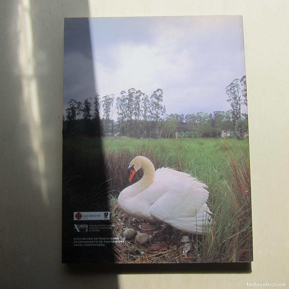 Libros de segunda mano: ISLA DE ESCULTURAS. ARTE - Foto 2