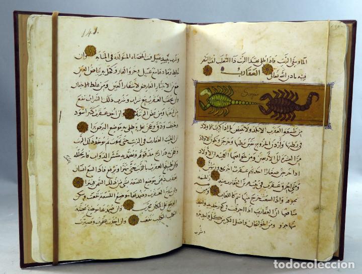 Libros de segunda mano: Facs&iacute;mil El libro de las utilidades de los animales Ibn Al Durayhim Al Mawsil C&oacute;dice &aacute;rabe Escorial - Foto 5