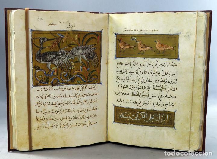Libros de segunda mano: Facs&iacute;mil El libro de las utilidades de los animales Ibn Al Durayhim Al Mawsil C&oacute;dice &aacute;rabe Escorial - Foto 6