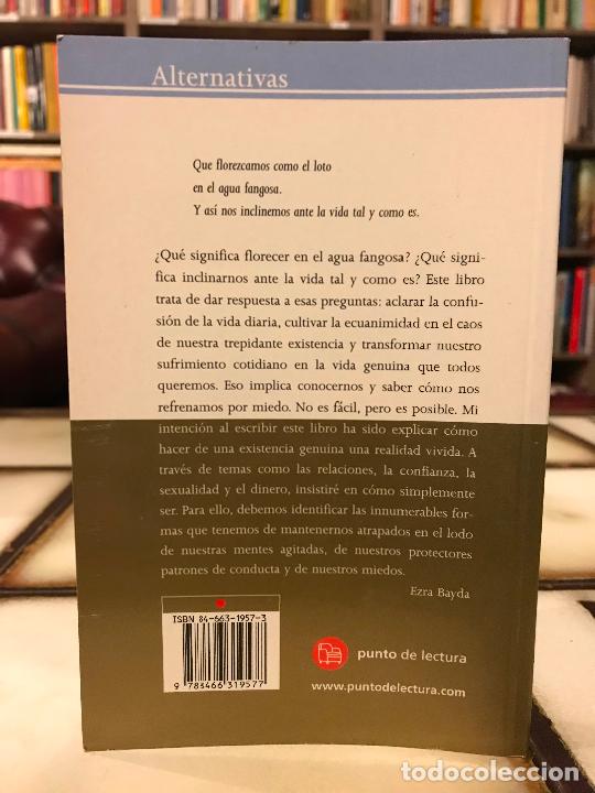 Libros de segunda mano: Como pez en el agua. Ezra Bayda. - Foto 2