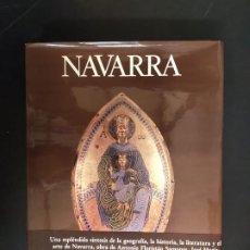 Libros de segunda mano: NAVARRA. Lote 396740184