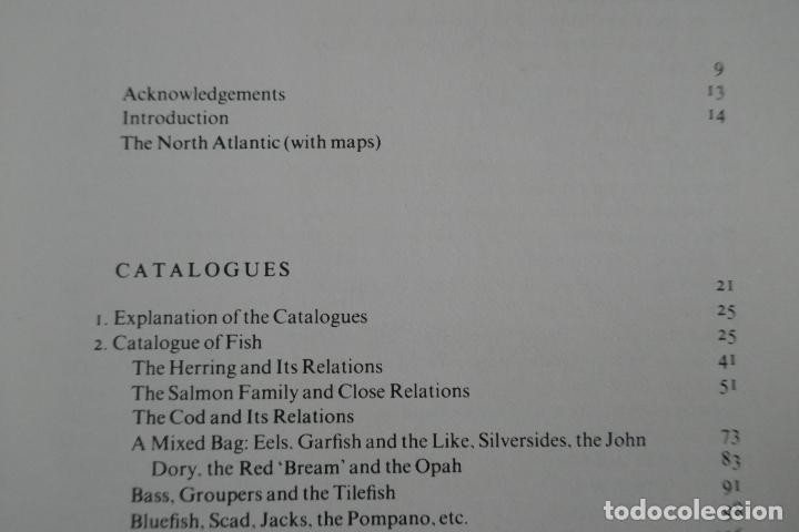 Libros de segunda mano: North Atlantic Seafood Davidson, Alan (en Ingl&eacute;s) - Foto 10