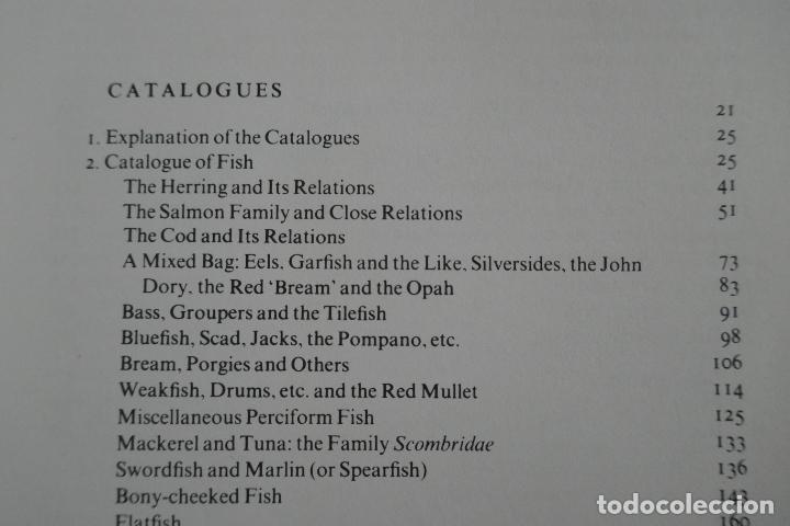 Libros de segunda mano: North Atlantic Seafood Davidson, Alan (en Ingl&eacute;s) - Foto 11