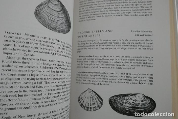 Libros de segunda mano: North Atlantic Seafood Davidson, Alan (en Ingl&eacute;s) - Foto 15