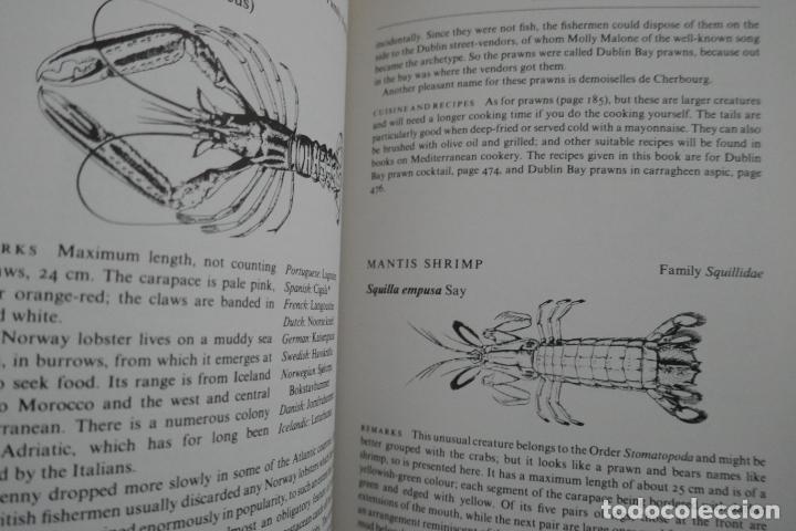 Libros de segunda mano: North Atlantic Seafood Davidson, Alan (en Ingl&eacute;s) - Foto 16