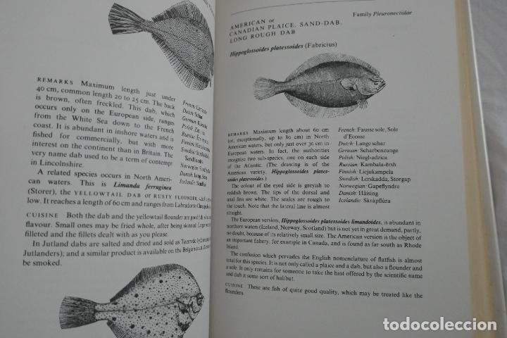 Libros de segunda mano: North Atlantic Seafood Davidson, Alan (en Ingl&eacute;s) - Foto 17