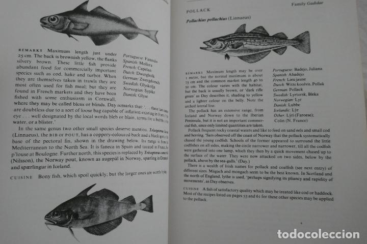 Libros de segunda mano: North Atlantic Seafood Davidson, Alan (en Ingl&eacute;s) - Foto 18