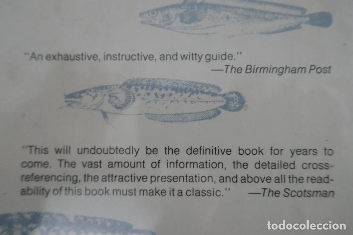 Libros de segunda mano: North Atlantic Seafood Davidson, Alan (en Ingl&eacute;s) - Foto 22