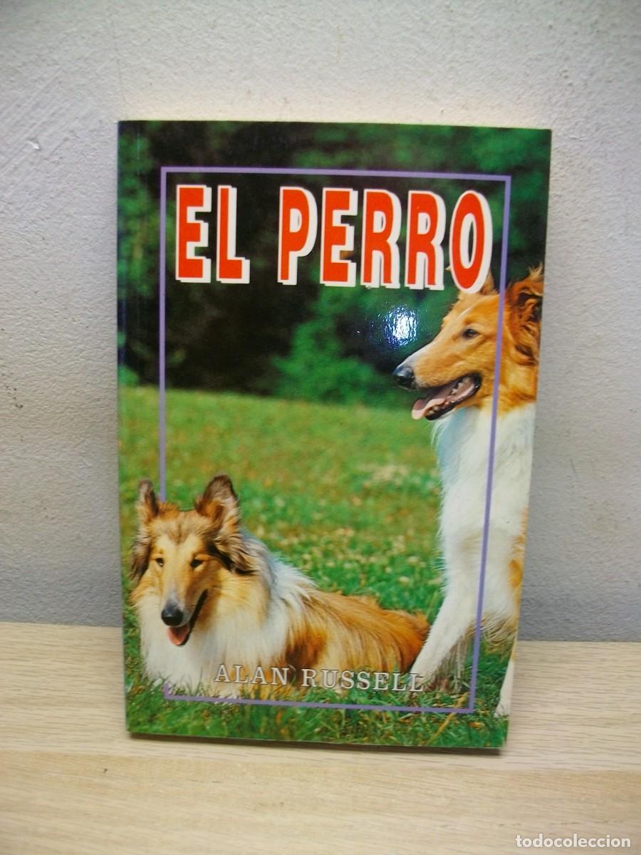 Libros de segunda mano: PERRO -Tapa blanda 2016 de RUSSELL - Foto 1