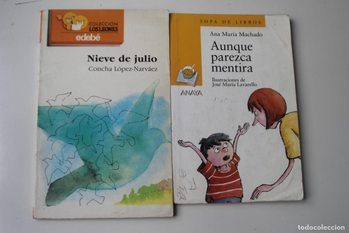 Libros de segunda mano: NUEVE DE JULIO - AUNQUE PAREZCA MENTIRA - Foto 1