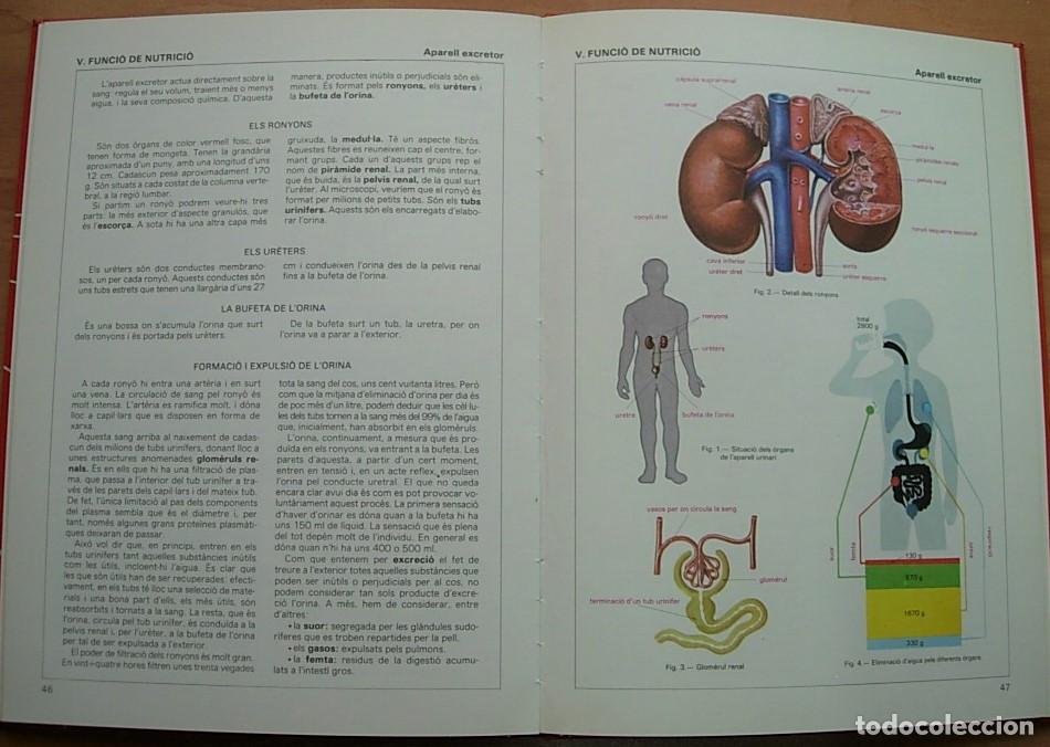 Libros de segunda mano: Libro EL COS HUM&Agrave; - L&Agrave;MINES B&Agrave;SIQUES DANATOMIA La Galera 1984 en Catal&agrave; - Foto 6