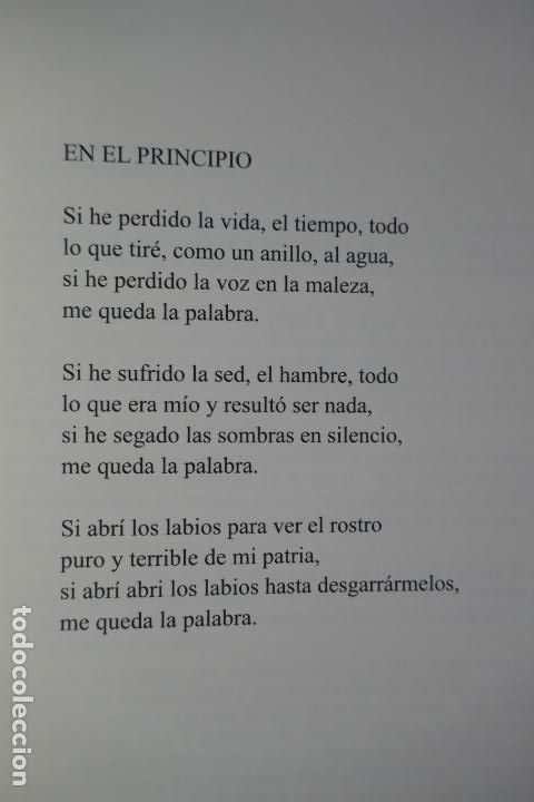 Libros de segunda mano: ME QUEDA LA MIRADA - TRIBUTO VISUAL A BLAS DE OTELO - COMO NUEVO - Foto 7
