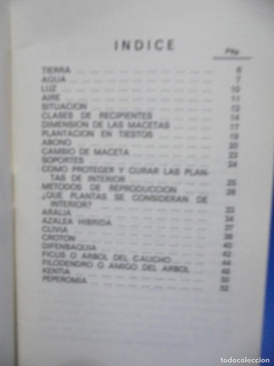 Libros de segunda mano: PLANTAS INTERIORES. N&ordm; 17. 1973. PAGS : 54. - Foto 2