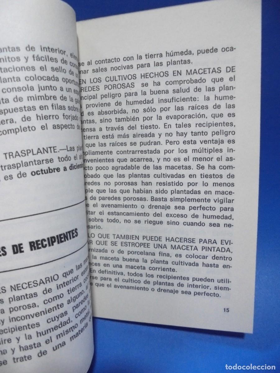 Libros de segunda mano: PLANTAS INTERIORES. N&ordm; 17. 1973. PAGS : 54. - Foto 3