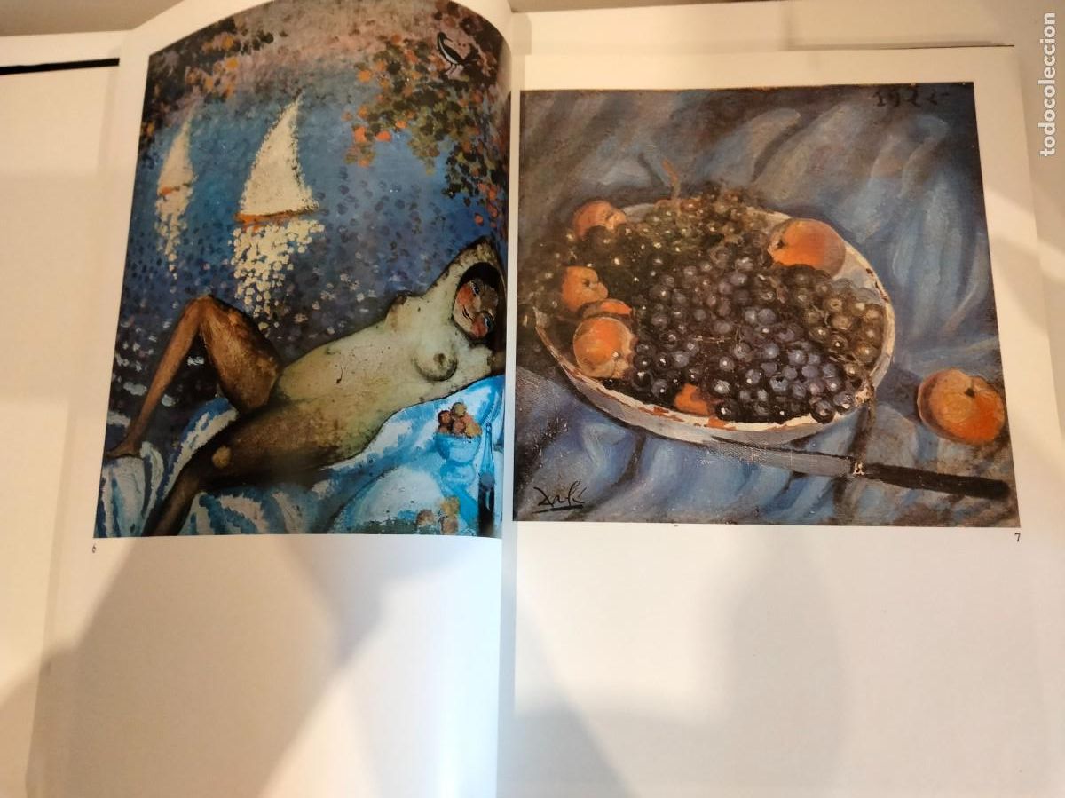 Libros de segunda mano: LIBRO DALI POR CESAREO RODR&Iacute;GUEZ EDICIONES NAUTA EDICI&Oacute;N 1985 - Foto 4