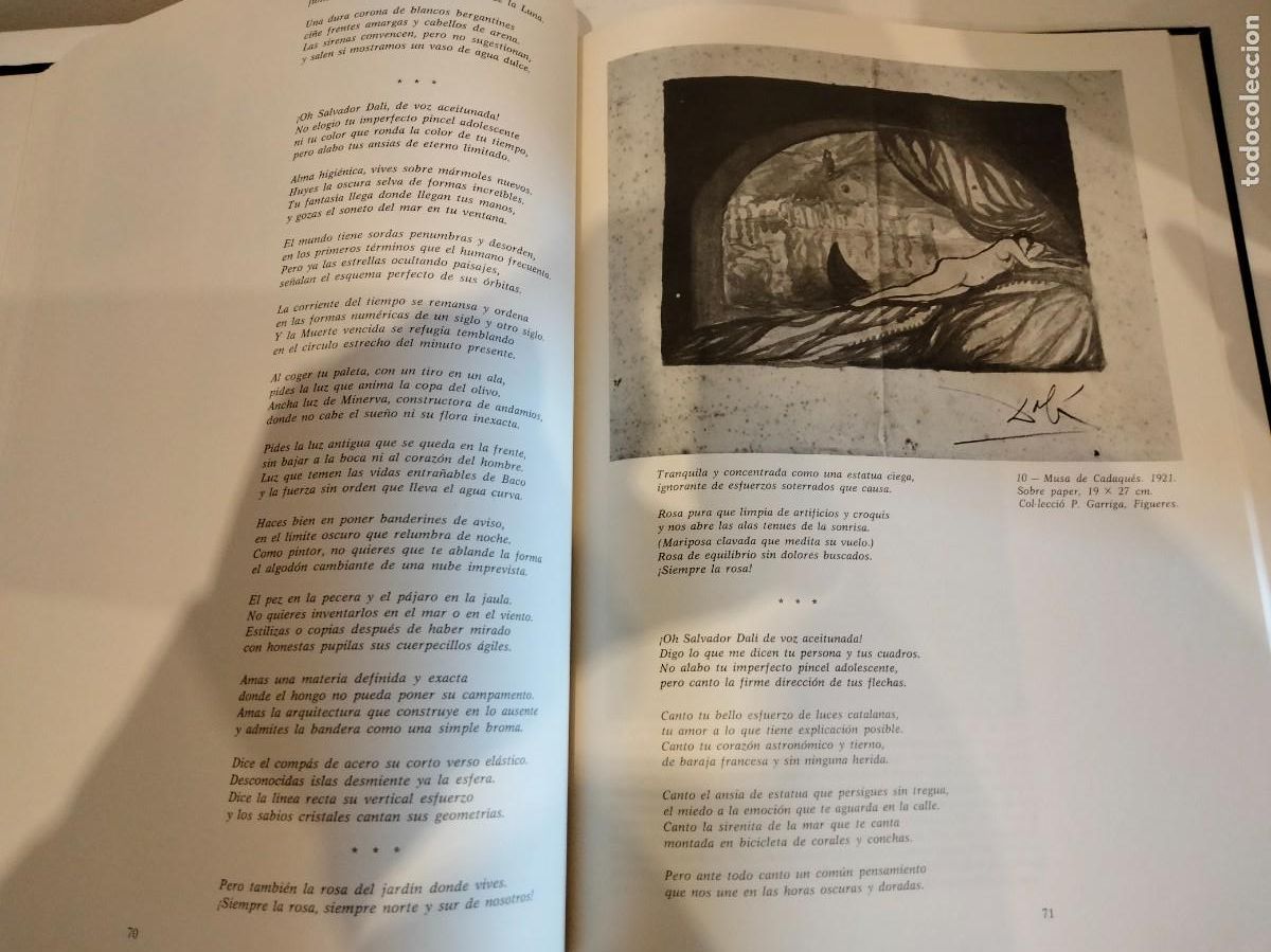 Libros de segunda mano: LIBRO DALI POR CESAREO RODR&Iacute;GUEZ EDICIONES NAUTA EDICI&Oacute;N 1985 - Foto 8