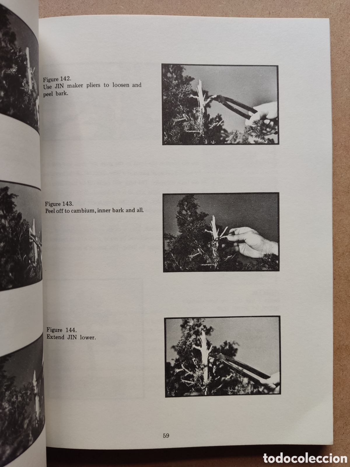 Libros de segunda mano: BONSAI LIBRO BONSAI TECHNIQUES I JOHN YOSHIO NAKA SIGNED 1983 - Foto 5