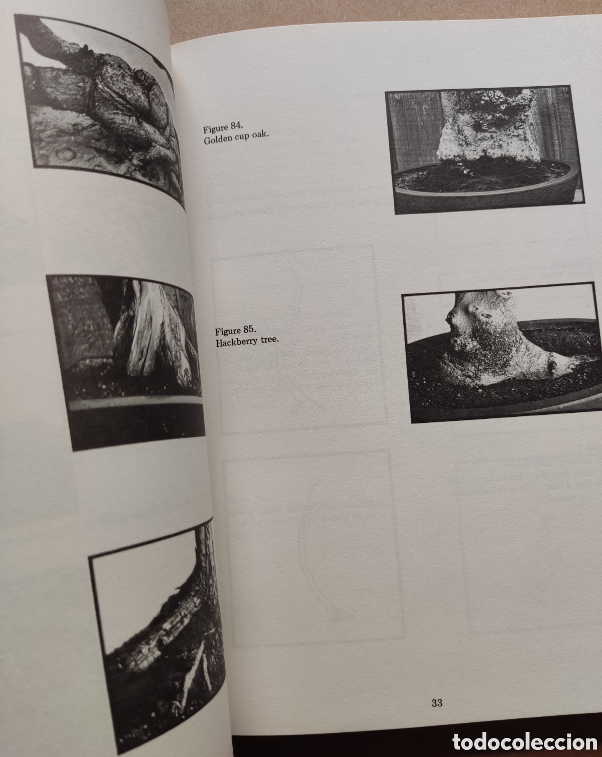 Libros de segunda mano: BONSAI LIBRO BONSAI TECHNIQUES I JOHN YOSHIO NAKA SIGNED 1983 - Foto 6